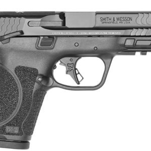 M&P9 M2.0 CMPCT 9MM 10+1 4" OR