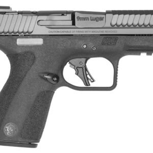 SHIELD X 9MM 3.6" NTS 13+1 OR