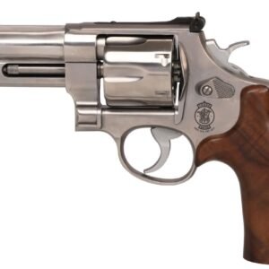 610 MOUNTAIN GUN 10MM 4" SS