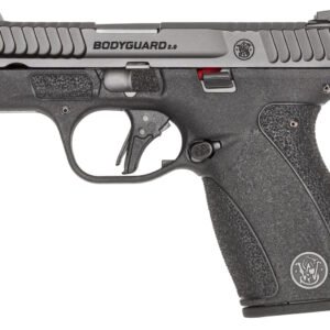 BODYGUARD 2.0 380ACP 12+1 NTS