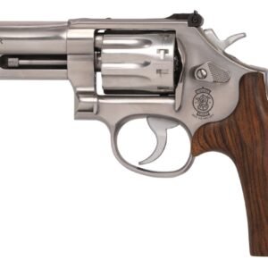 617 MOUNTAIN GUN 22LR 4" SS