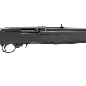 10/22 CARB 22LR BL/SYN 18.5"