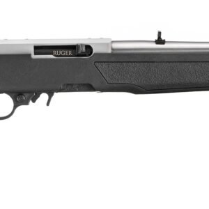 10/22 CARB 22LR SS/SYN 18.5"