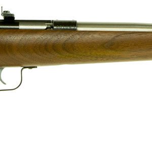 CRICKETT 22LR SS/WALNUT