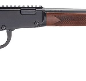 H1 BANDIT 22MAG BL/WD 18.5" TB
