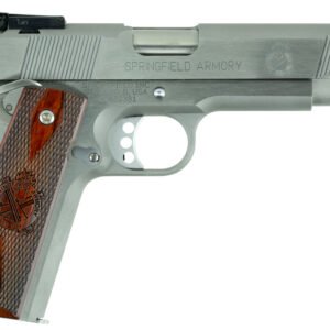 1911 45ACP TRGT SS/WD 5"