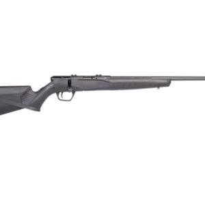 B17 17HMR BL/SYN 21"