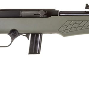 RS22 22LR BLK/ODG 18" 10+1