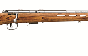 93 BOLT 17HMR SS/LAM THBHL TH - 96200