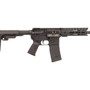 DB-15 PIST 300BLK BLK 8" SBA3