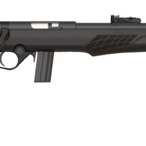 RB22 22LR BLK/SYN 18" 10+1