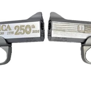 250TH REDNECK 45-70 SS 4.25"