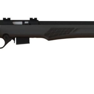 RB17 17HMR BLK/SYN 21" 5+1