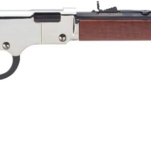H4 GOLDEN BOY SILVER 22LR