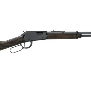 H1 GARDEN GUN 22LR BL/WD