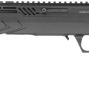 TM22 STD 22LR BLK 18" 10+1