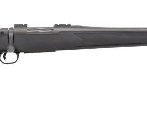PATRIOT 25-06 SS CERAKOTE/SYN