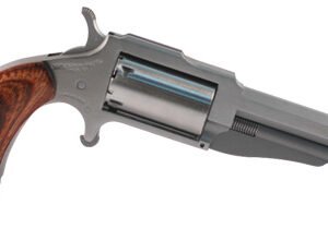 THE EARL 22MAG 3" SS 5SH